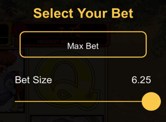 Max Bet of €6.25 per Spin